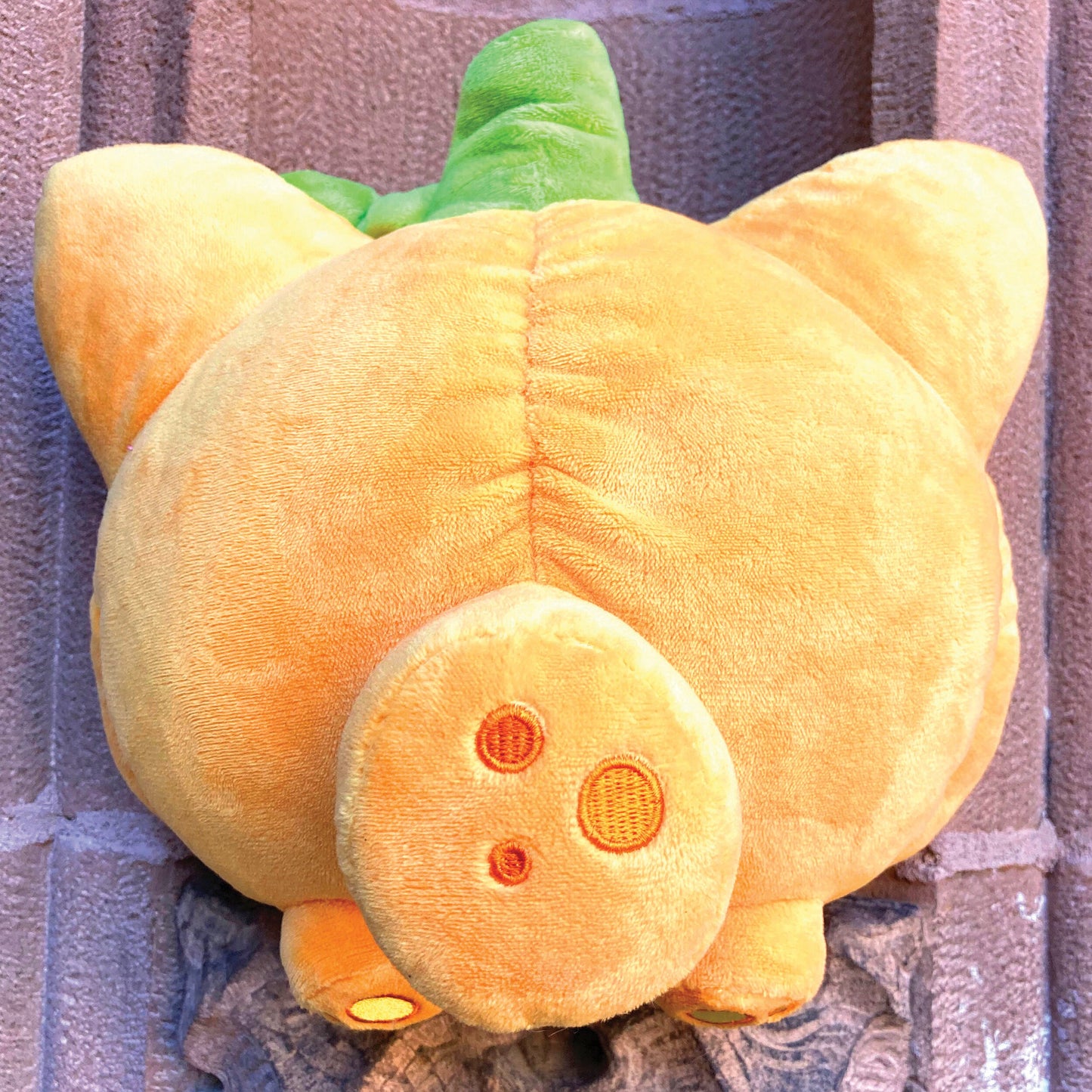 Cat-O-Lantern