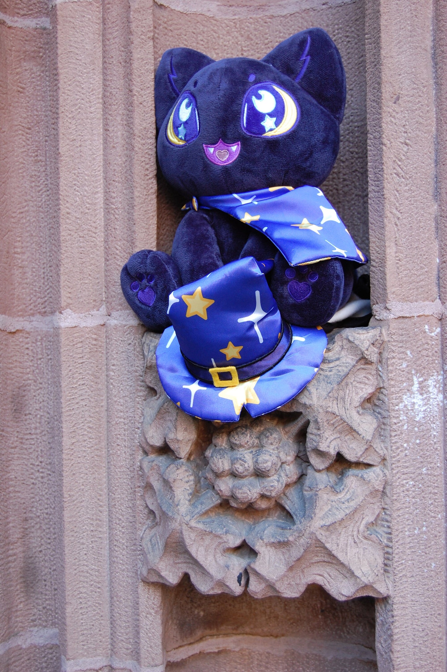 Nyx the Witchy Cat