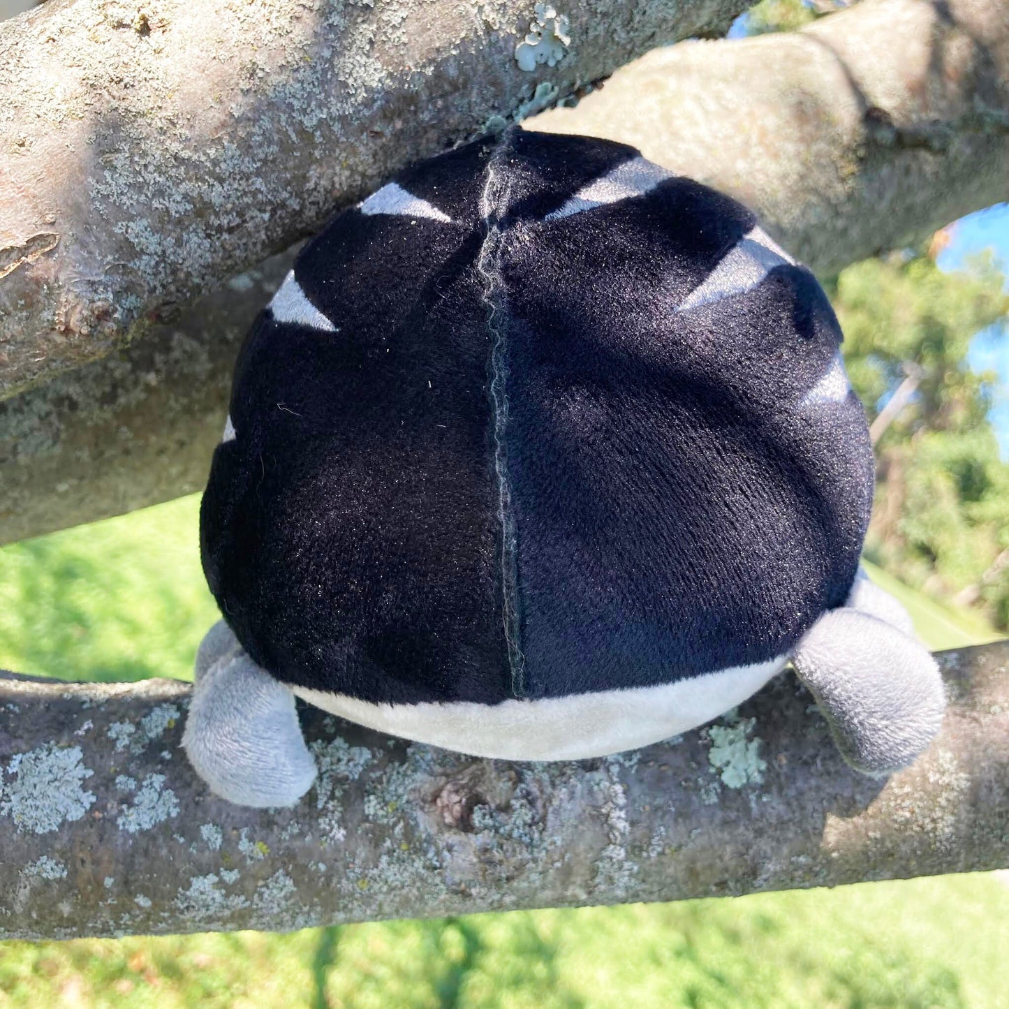 Rhino Beeble